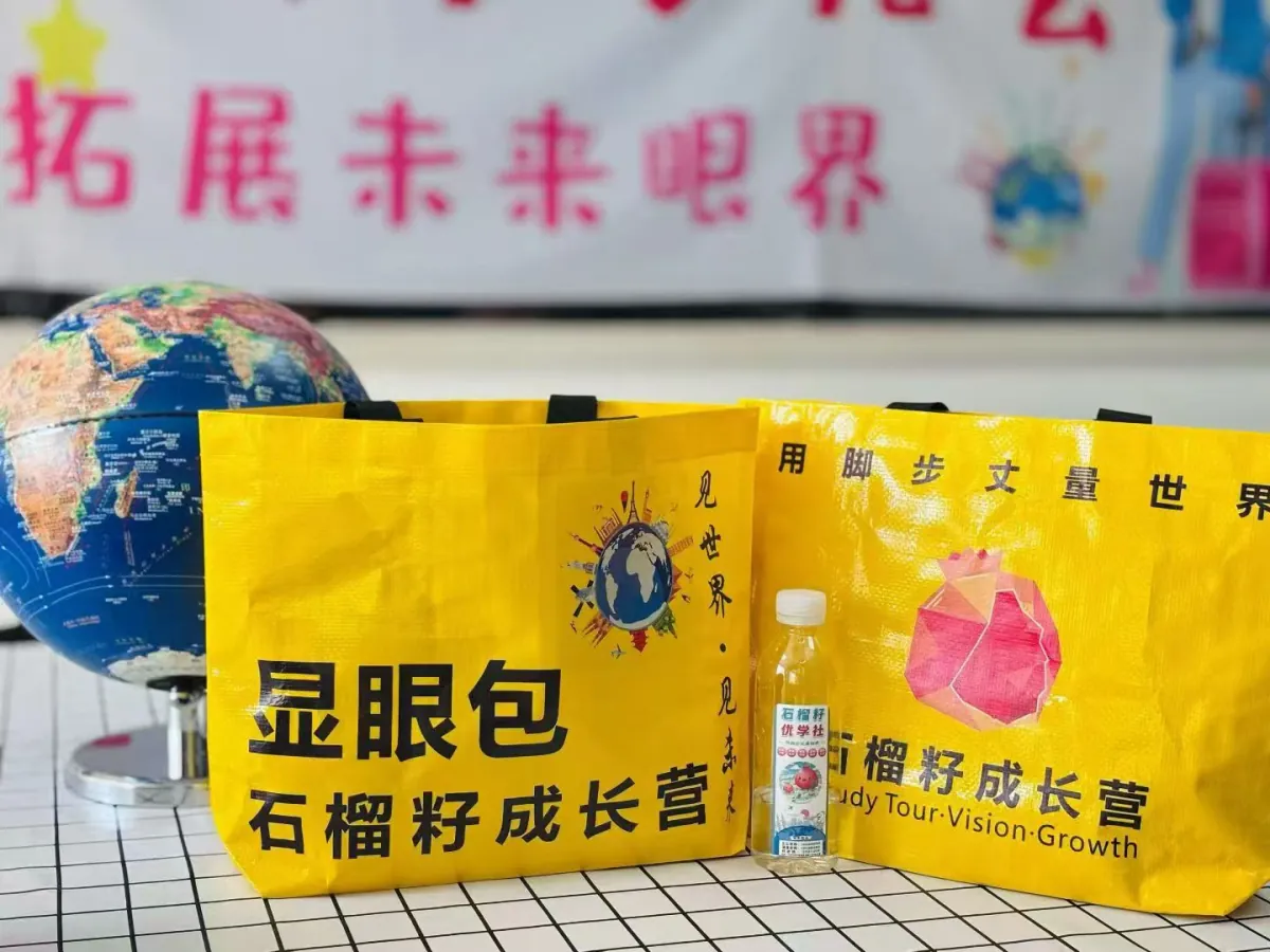 石榴籽成长营视觉包与地球仪